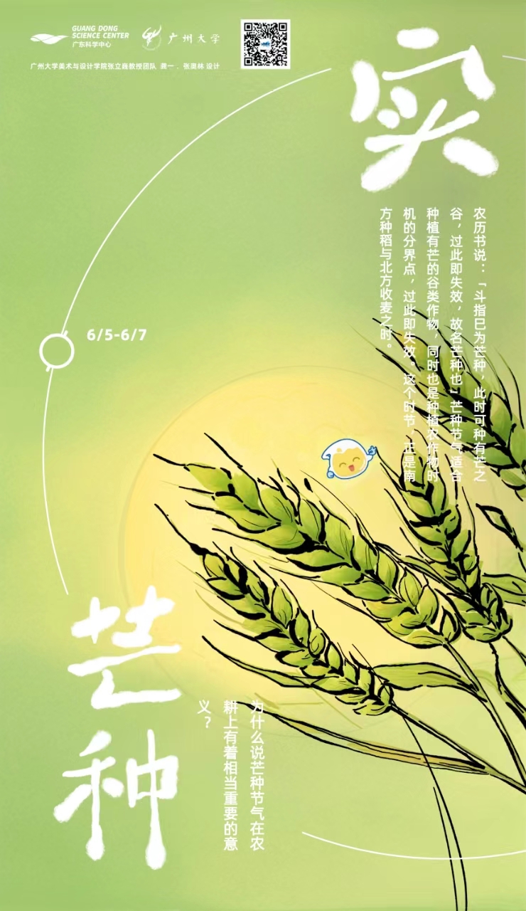 芒种